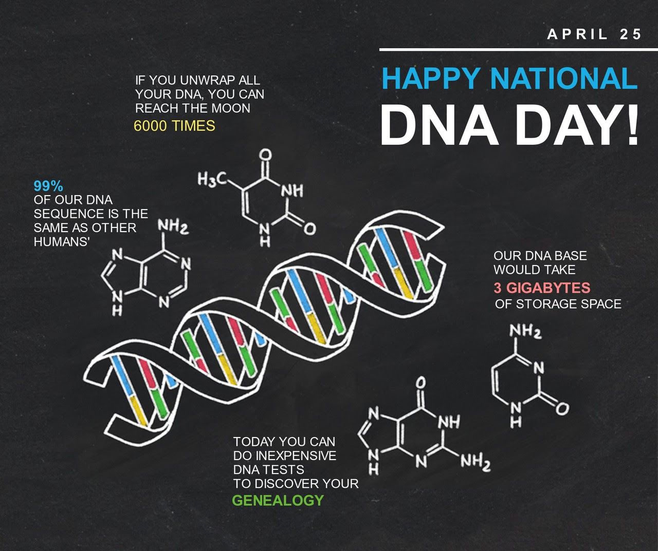 DNA